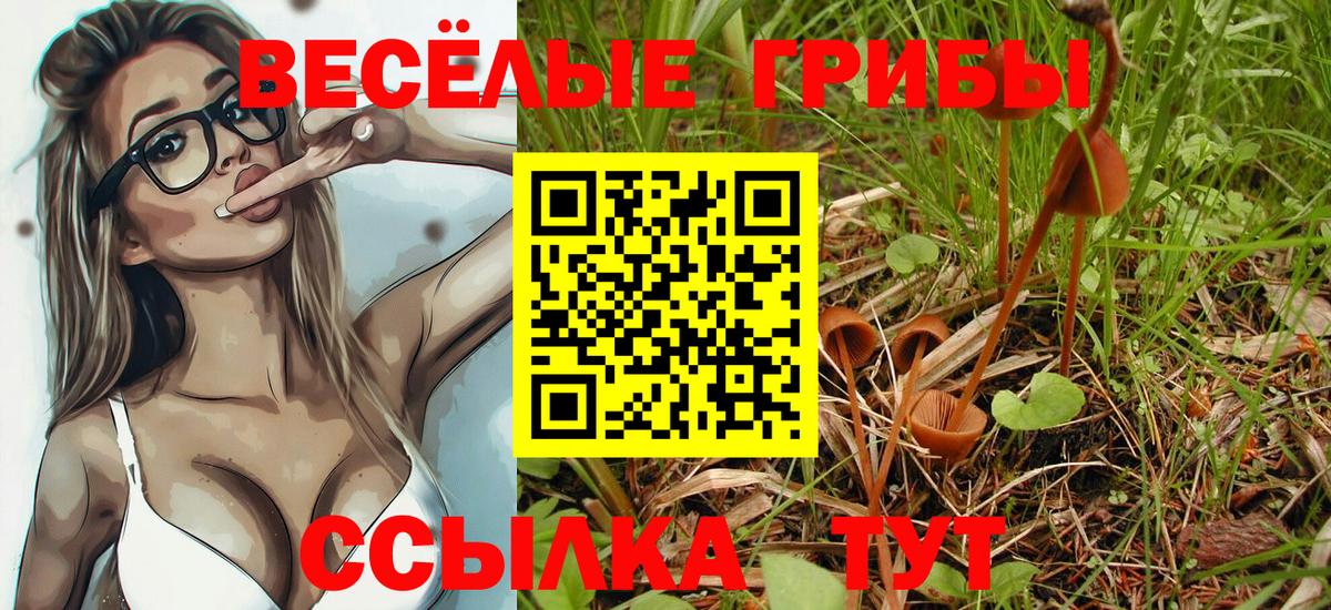 Жигулёвск  Галлюциногенные грибы Psilocybe  Галлюциногенные грибы GOLDEN TEACHER  Вход с VPN 
