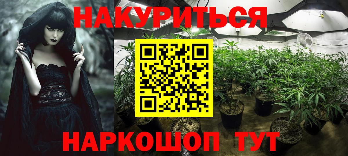 Бошки Шишки гибрид  Марихуана THC 21%  Бошки Шишки семена  Жигулёвск  Вход с VPN 